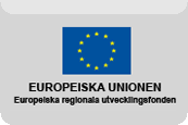Europeiska Unionen Logo